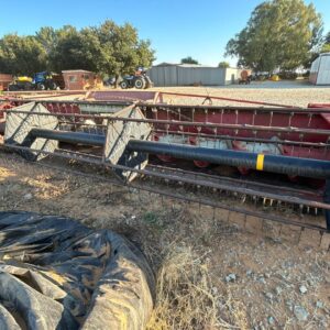 CASE KORING/SONNEBLOTAFEL