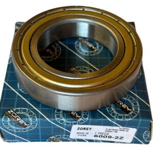 6009-2Z BEARING